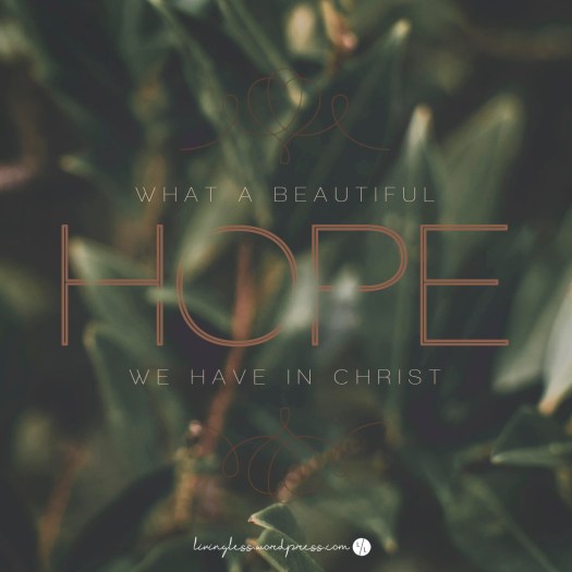 livingless.wordpress _ HOPE