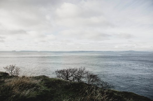 island life, pacific northwest, ocean view, sea view, san juan island @livingless.wordpress.com