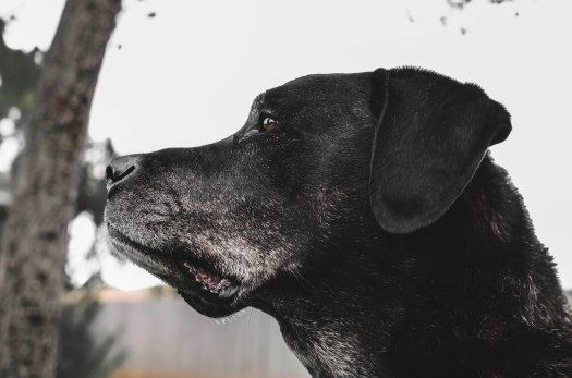 livingless-wordpress-com-94