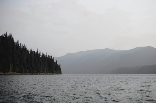 lake, washington lake, nature, pacific northwest, water @livingless.wordpress.com