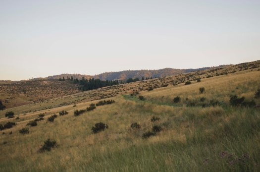 nature, central washington, rolling hillside @livingless.wordpress.com